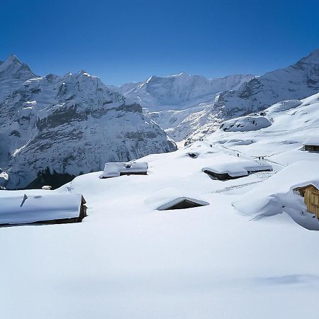 Holiday Home Chalet Ahornen By Interhome Grindelwald Eksteriør bilde