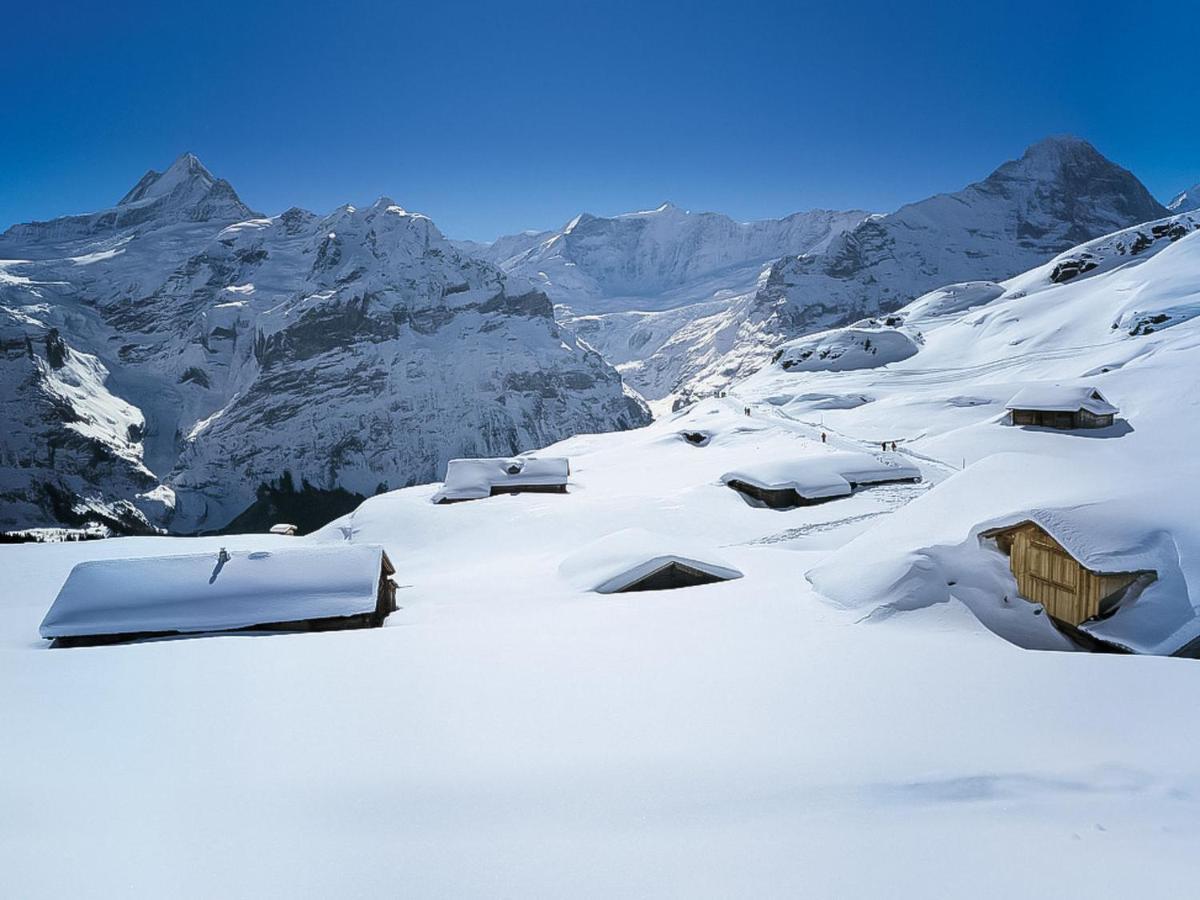 Holiday Home Chalet Ahornen By Interhome Grindelwald Eksteriør bilde
