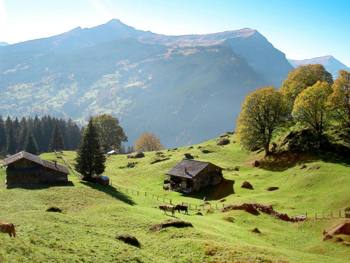 Holiday Home Chalet Ahornen By Interhome Grindelwald Eksteriør bilde